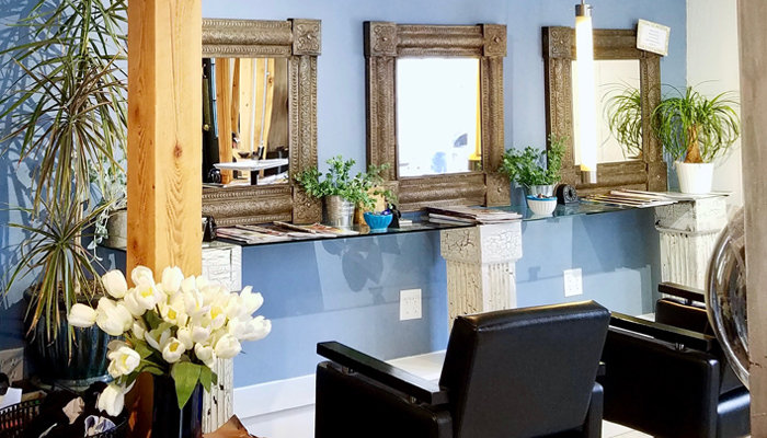Echo Salon by Stonelace Designs