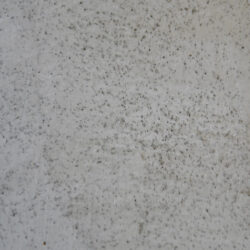 Richly Textured Eco-Friendly Italian Plaster Wall Finishes